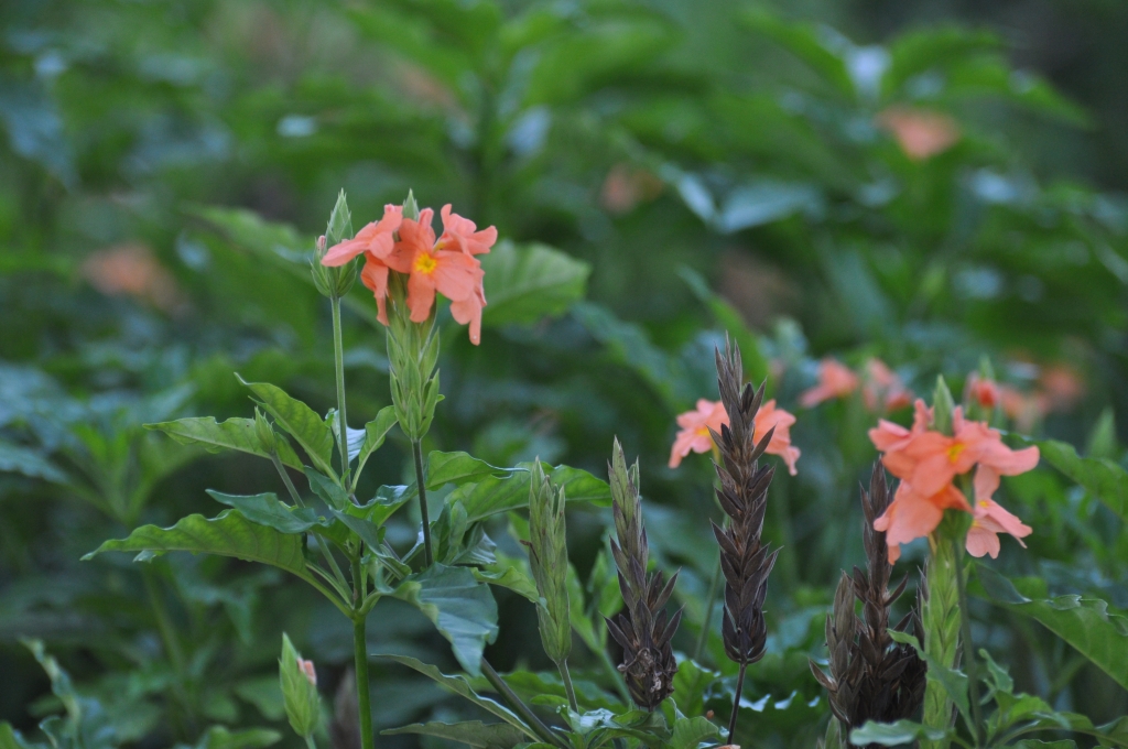 23 - Imagens do CEU.jpg